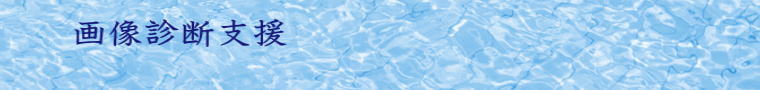 �摜�f�f�x��